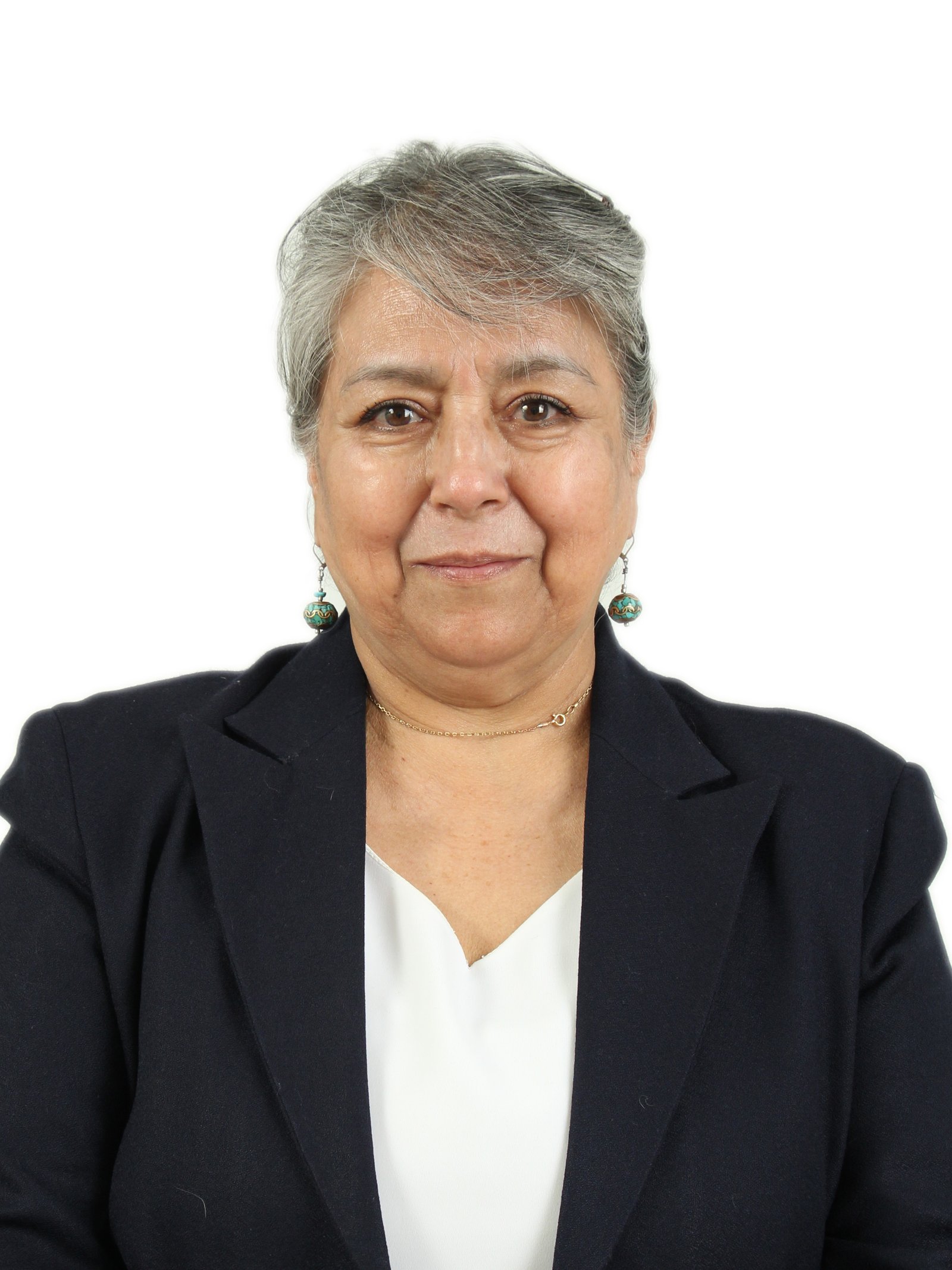 PALIZ ARGUELLO VILMA TERESITA DE JESUS 